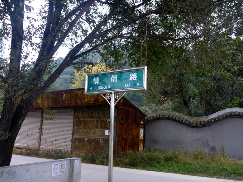 p1090054_.jpg