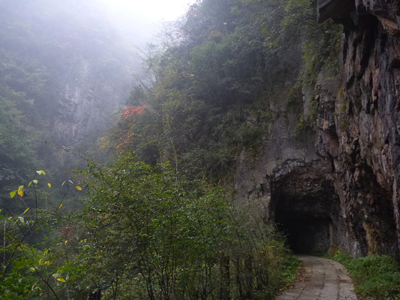 p1090086_.jpg
