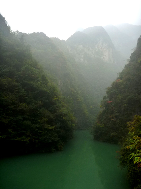 p1090083_.jpg