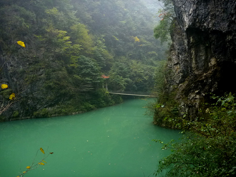 p1090087_.jpg