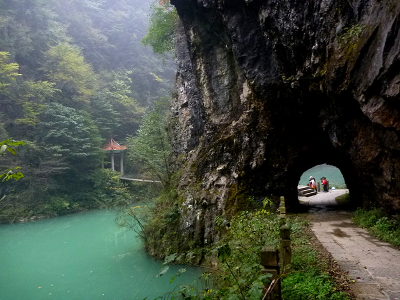 p1090088_.jpg