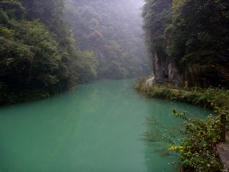 p1090091_.jpg