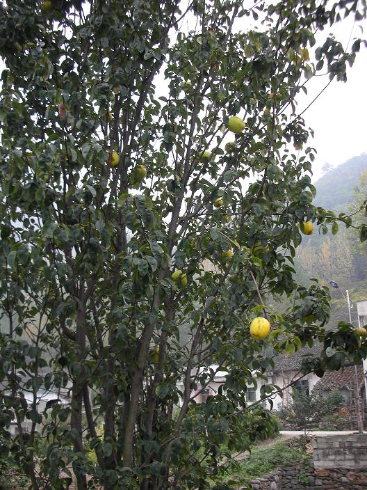 2011差 172.jpg