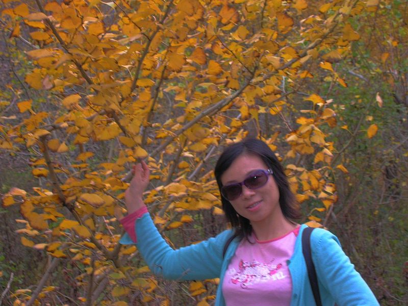 dscn3403.jpg
