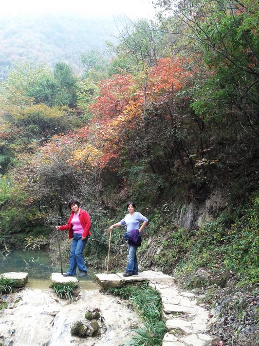 ת img_20111101_113028.jpg