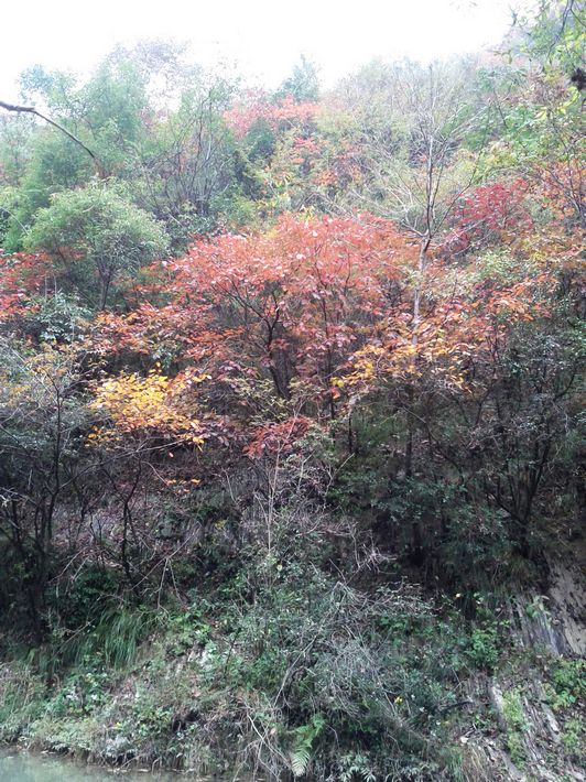ת img_20111101_113130.jpg