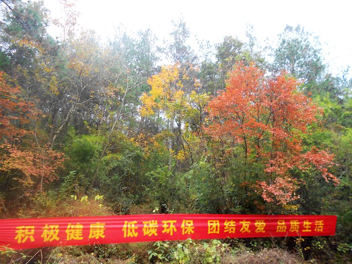2011.11.05ˮлɽ 065-1.jpg