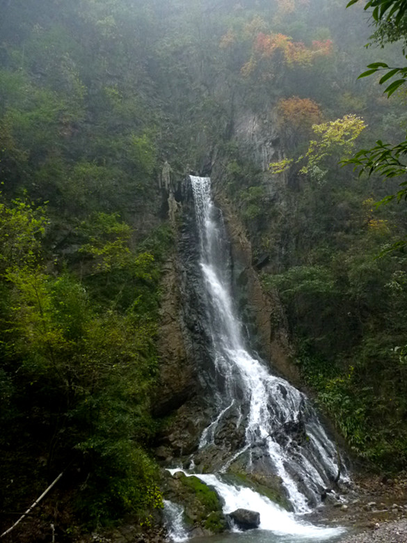 p1090134_.jpg