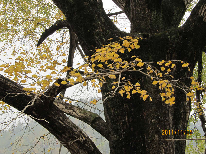 img_4060.jpg
