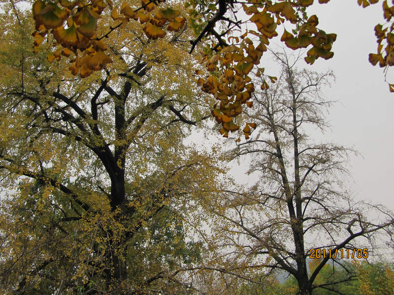 img_4062.jpg