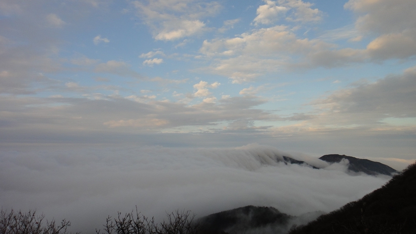 dsc08061.jpg