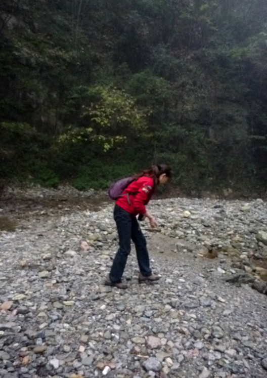 p1090136_.jpg