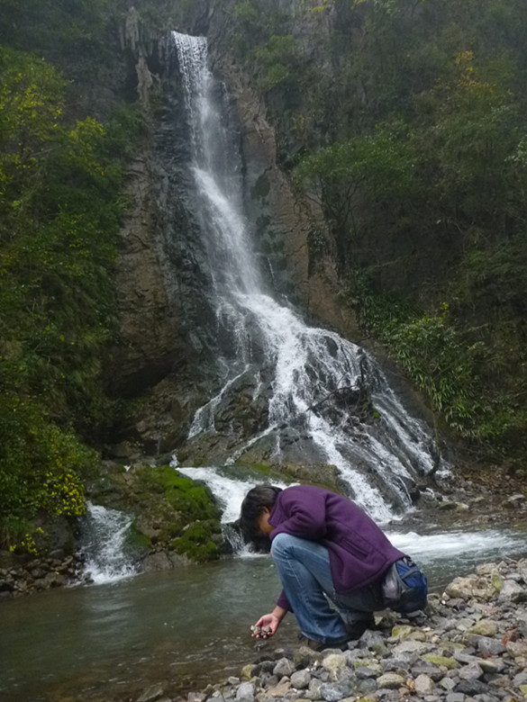 p1090140_.jpg