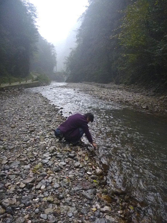p1090139_.jpg