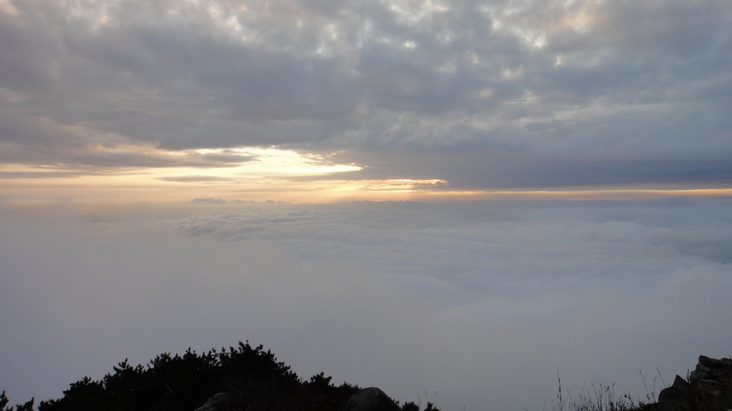 dsc08063.jpg
