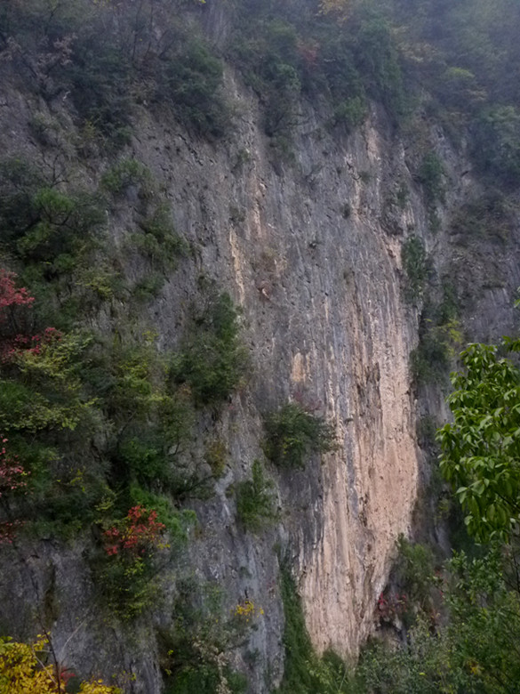 p1090146_.jpg