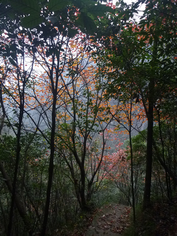 p1090144_.jpg