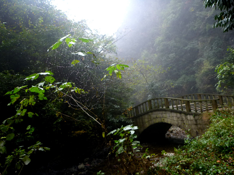 p1090154_.jpg