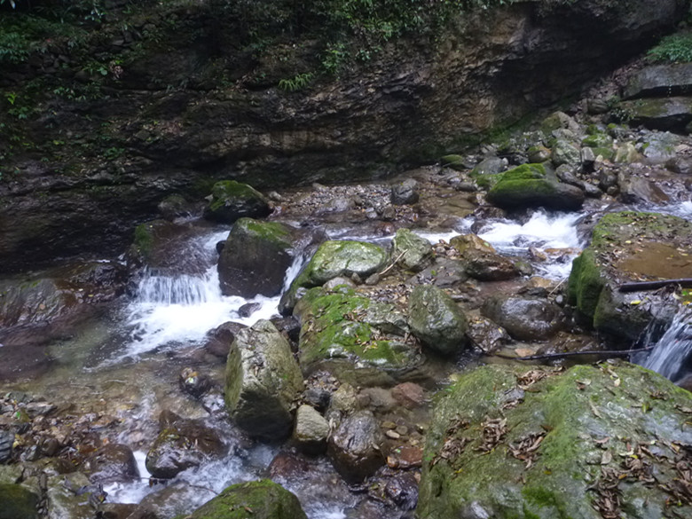 p1090158_.jpg