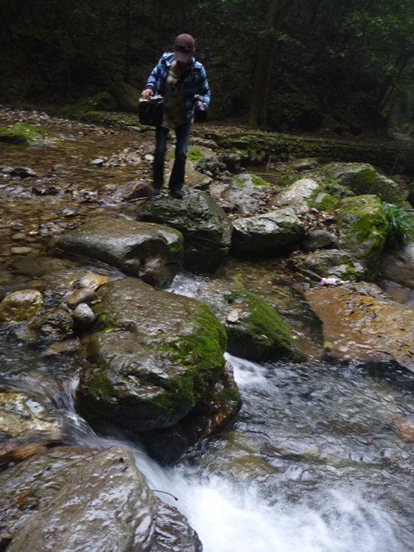 p1090159_.jpg