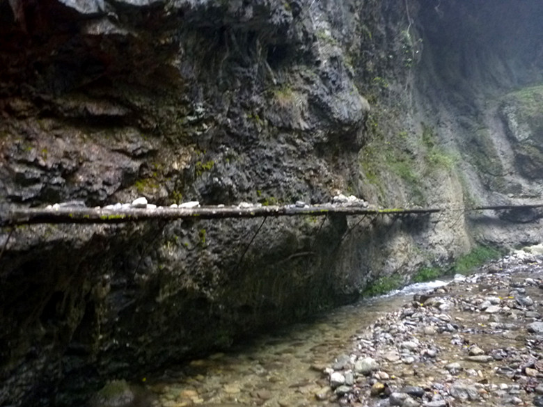 p1090163_.jpg