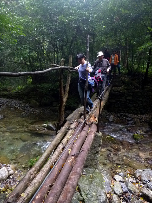 p1090164_.jpg