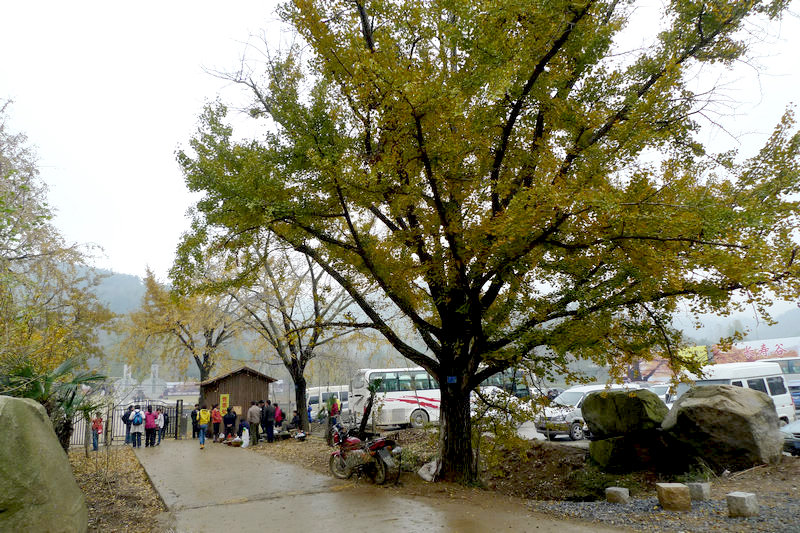 p1040719.jpg