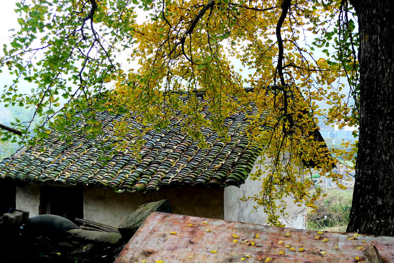 p1040724.jpg
