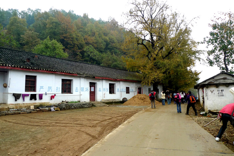 p1040725.jpg