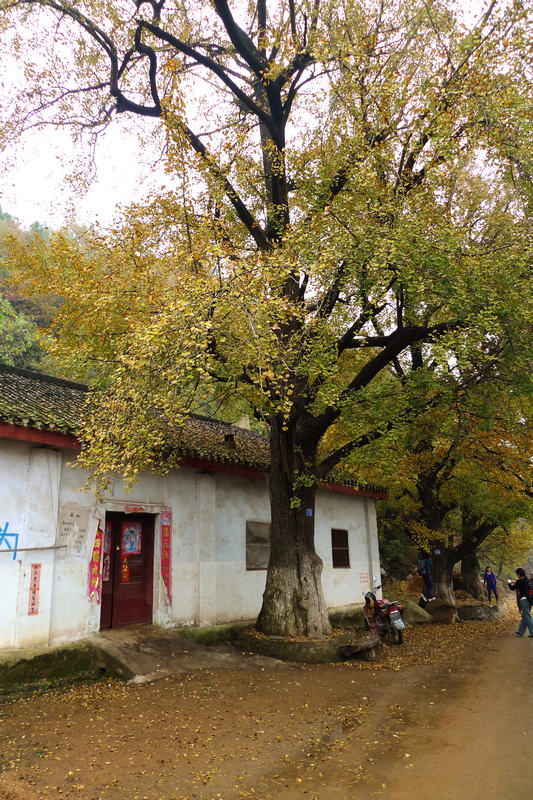 p1040727.jpg