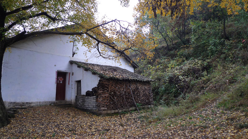 p1040733.jpg