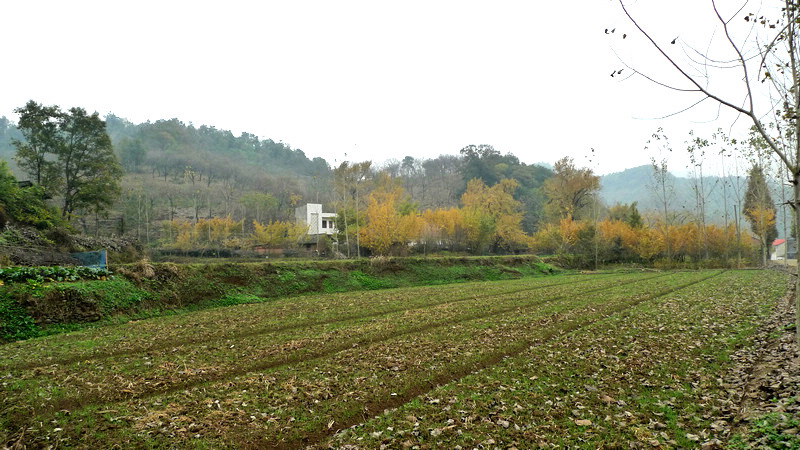 p1040736.jpg