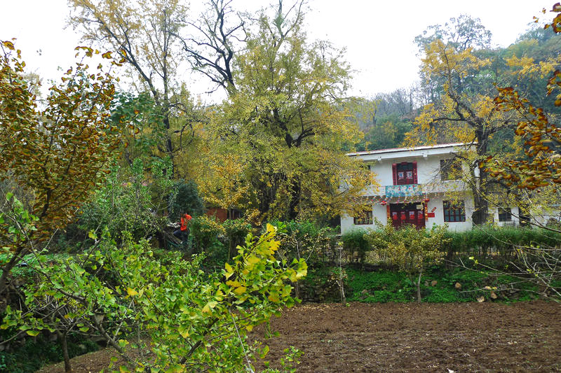 p1040739.jpg