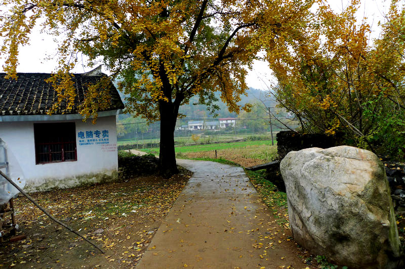 p1040740.jpg