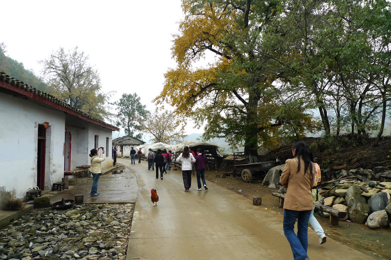 p1040721.jpg