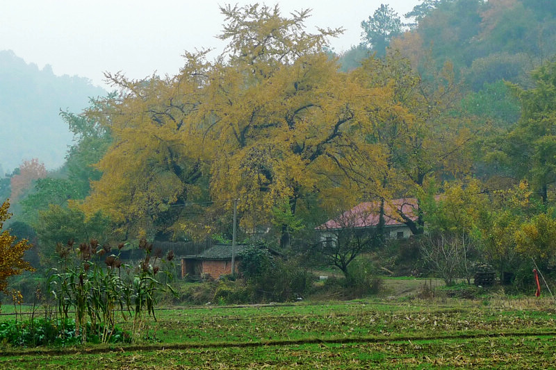 p1040743.jpg