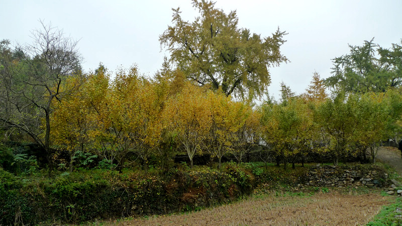 p1040750.jpg