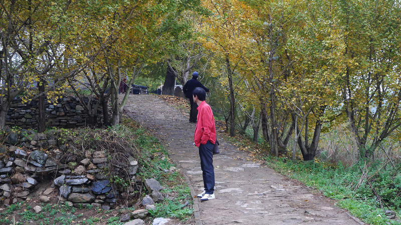 p1040751.jpg