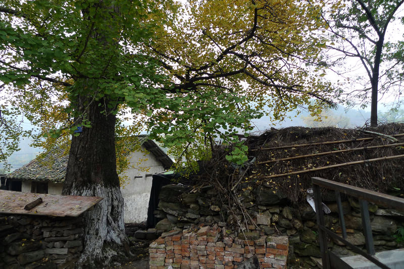 p1040722.jpg