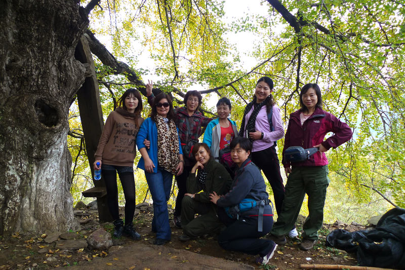 p1040759.jpg
