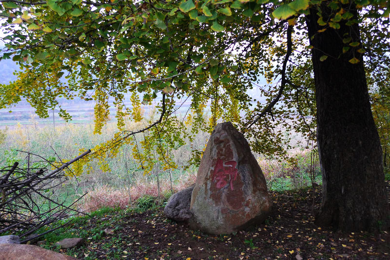 p1040755.jpg