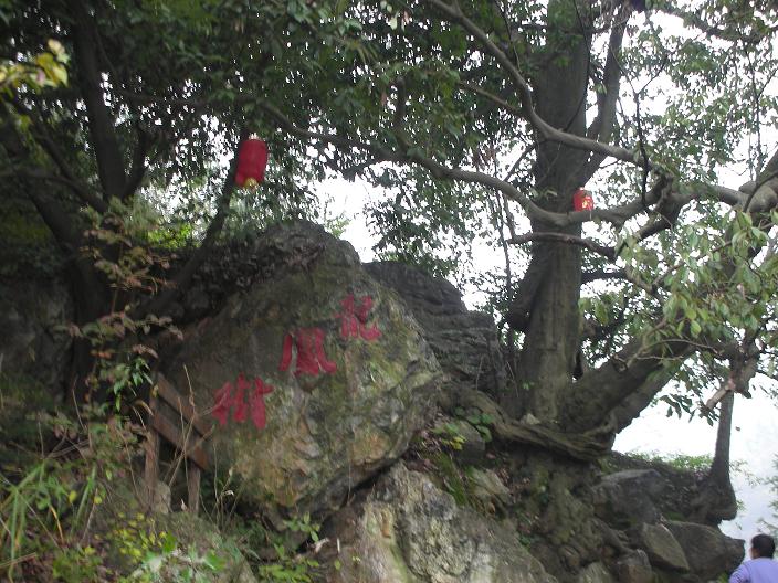 2011差 206.jpg