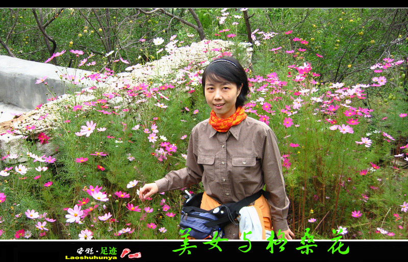 2011ī 058.jpg