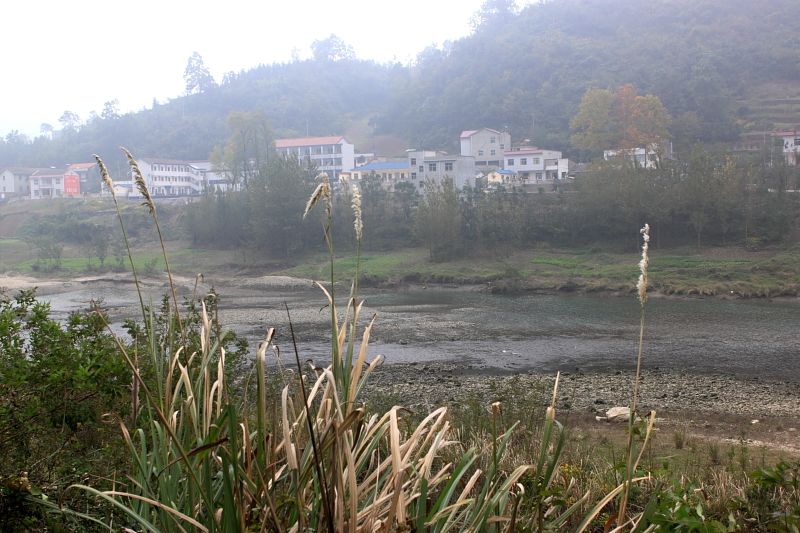 img_6445.jpg