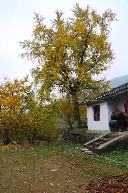 p1040758.jpg