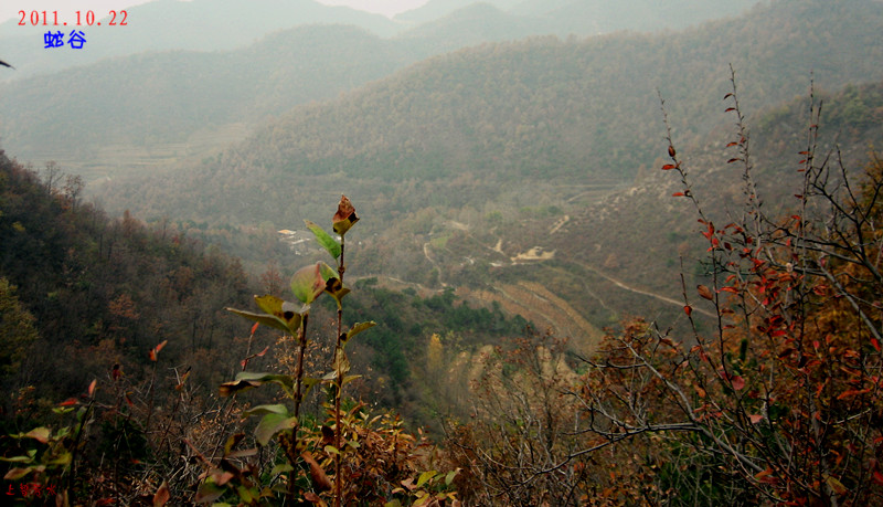 img_4142_1.jpg