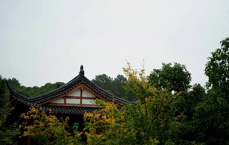 dsc_04671.jpg