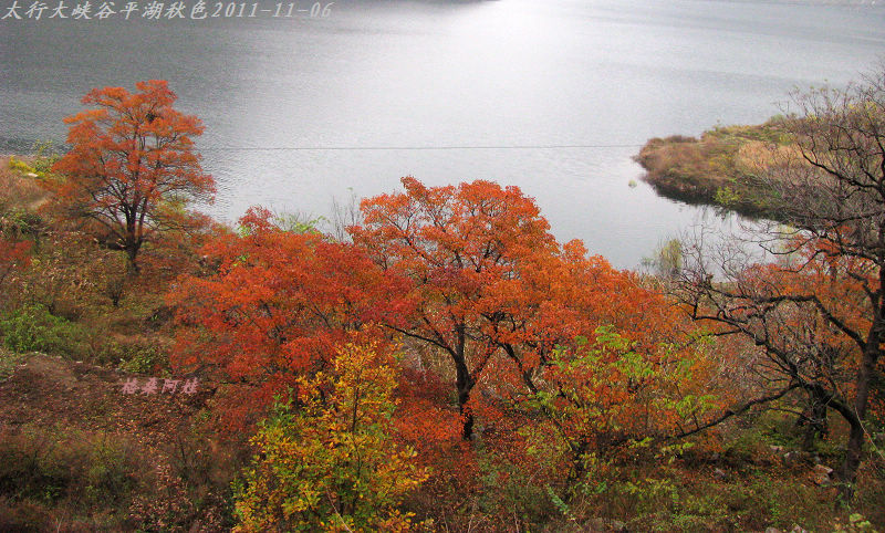 2011ʯҴϿ 2091-1.jpg