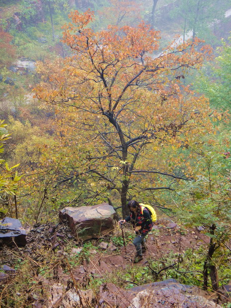 dsc08016.jpg