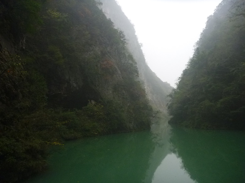p1090094_.jpg